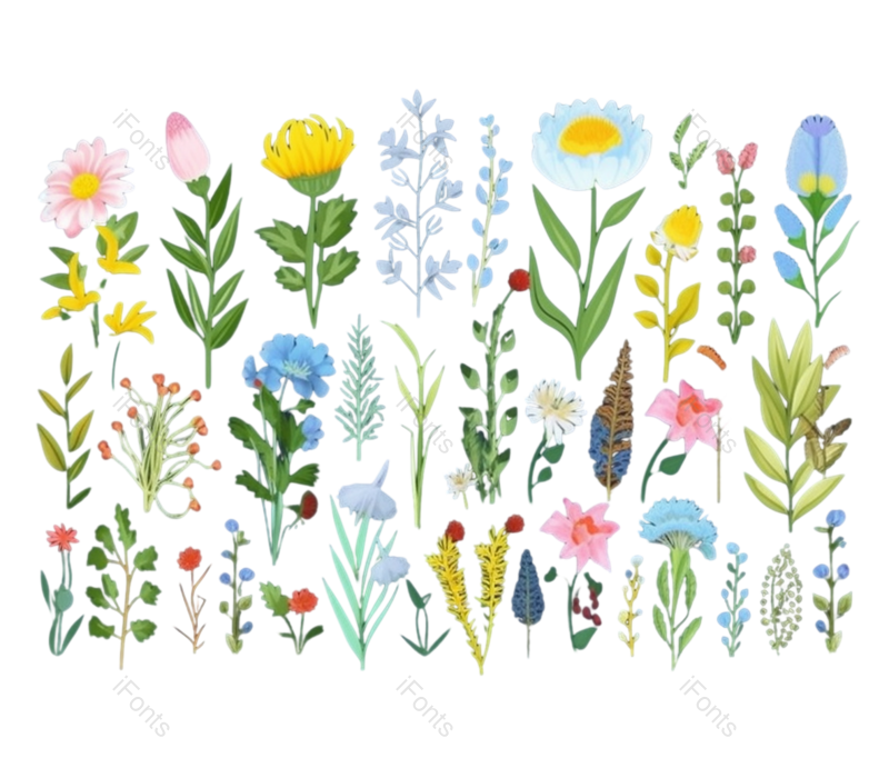 叶子图片,插画元素,唯美PNG,花卉免抠素材